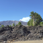 Lava 2002 - Etna jeep tour